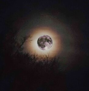 Chris Williams & Kid Reverie Share “Strawberry Moon,” a Folk Single Where Memory Does the Talking